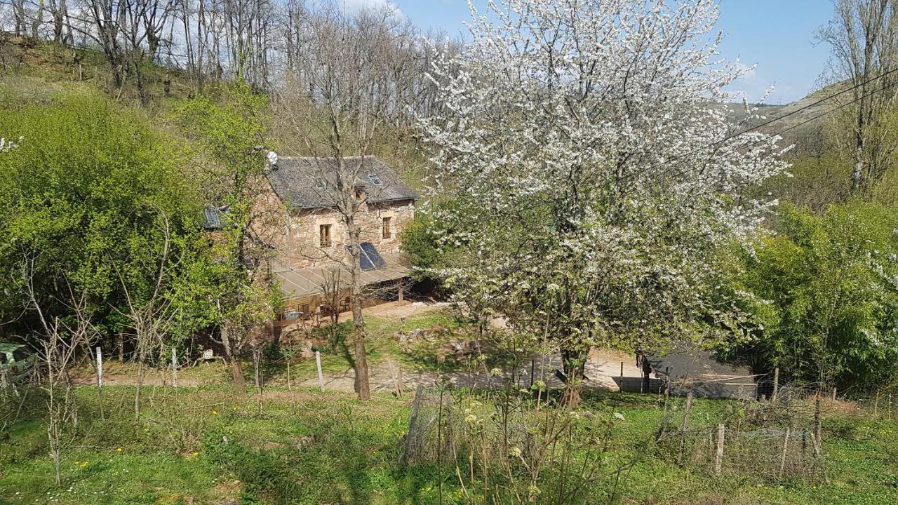 Maison Isolee Dans Les Vignes Et Les Bois Valady Exterior photo