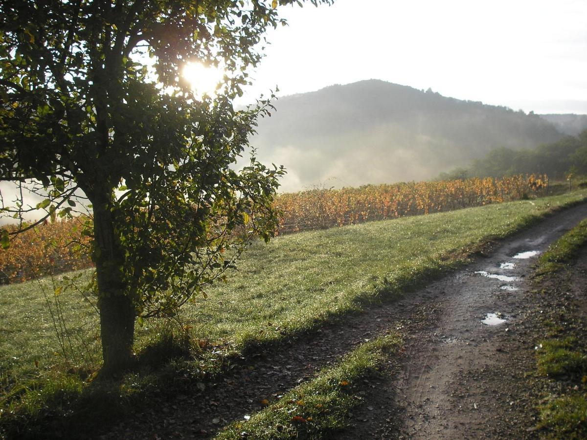 Maison Isolee Dans Les Vignes Et Les Bois Valady Exterior photo